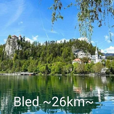 Apartmaji Mojca Krize Bagian luar foto