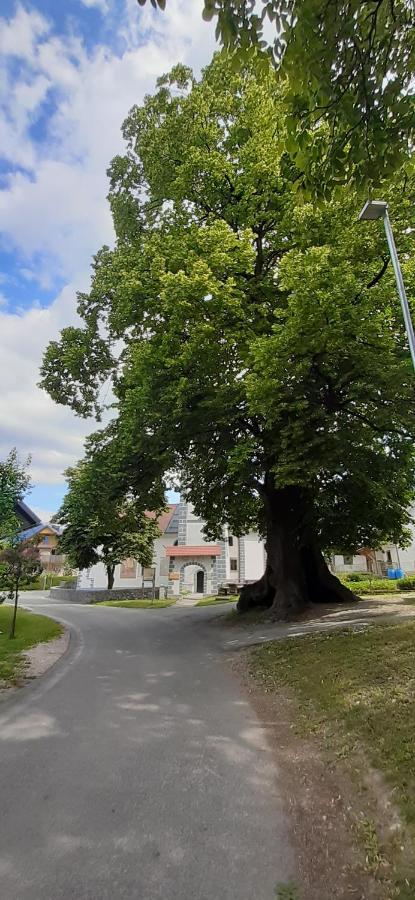 Apartmaji Mojca Krize Bagian luar foto