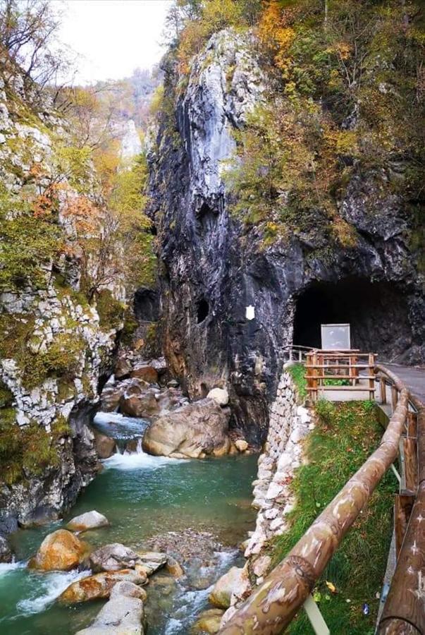 Apartmaji Mojca Krize Bagian luar foto