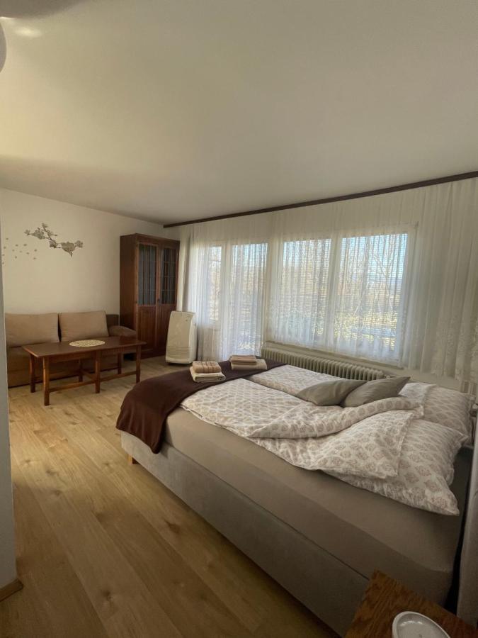Apartmaji Mojca Krize Bagian luar foto