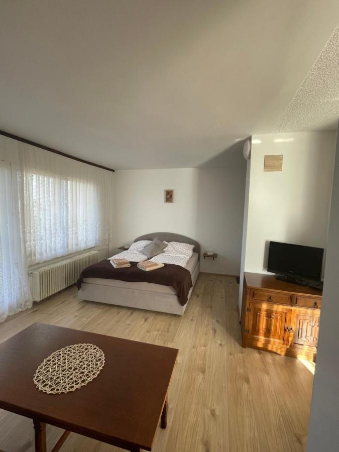 Apartmaji Mojca Krize Bagian luar foto