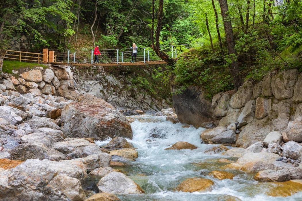 Apartmaji Mojca Krize Bagian luar foto
