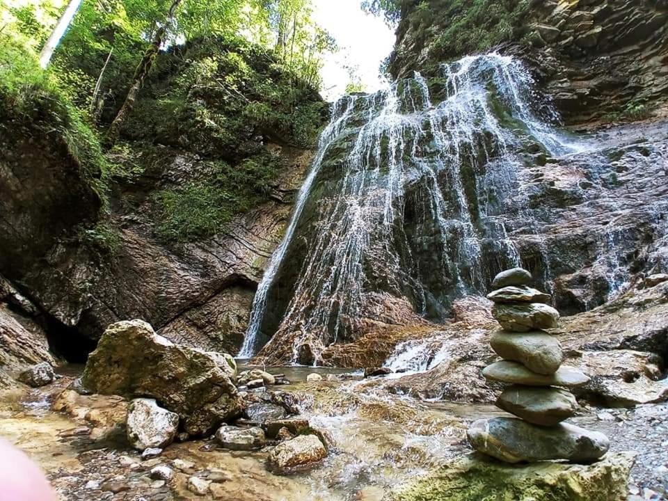 Apartmaji Mojca Krize Bagian luar foto