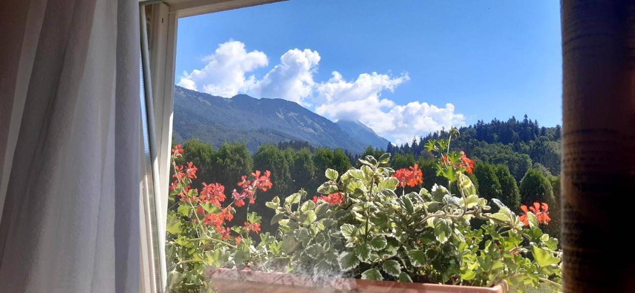 Apartmaji Mojca Krize Bagian luar foto