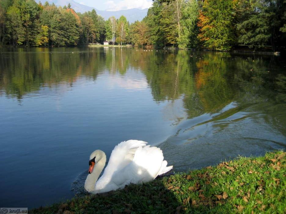 Apartmaji Mojca Krize Bagian luar foto