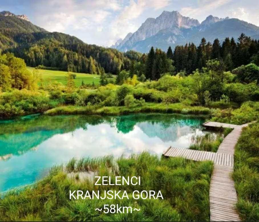 Apartmaji Mojca Krize Bagian luar foto