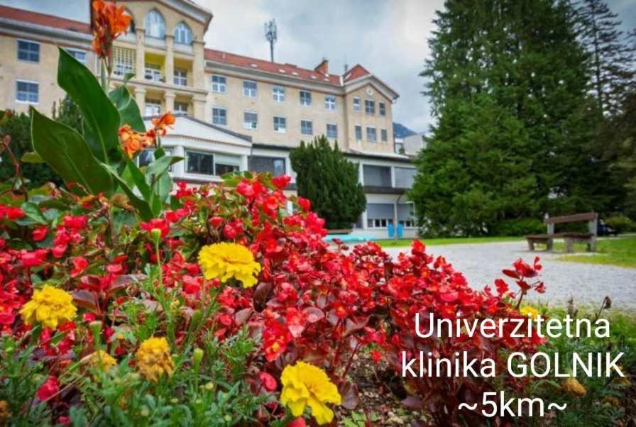 Apartmaji Mojca Krize Bagian luar foto