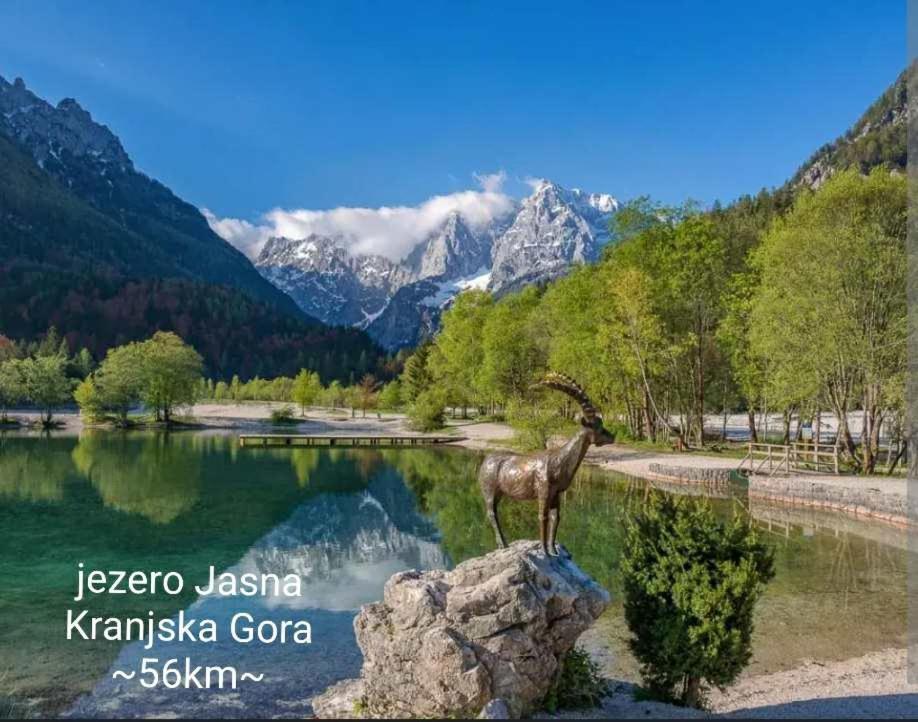 Apartmaji Mojca Krize Bagian luar foto