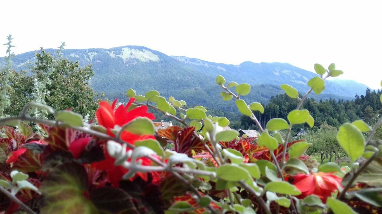 Apartmaji Mojca Krize Bagian luar foto